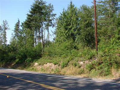 Land For Sale in Eatonville, Washington