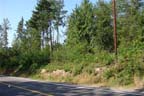 Eatonville Washington Land